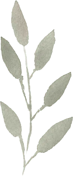 Natural Glow - Naturheilpraxis für ästhetische Medizin - Blätter