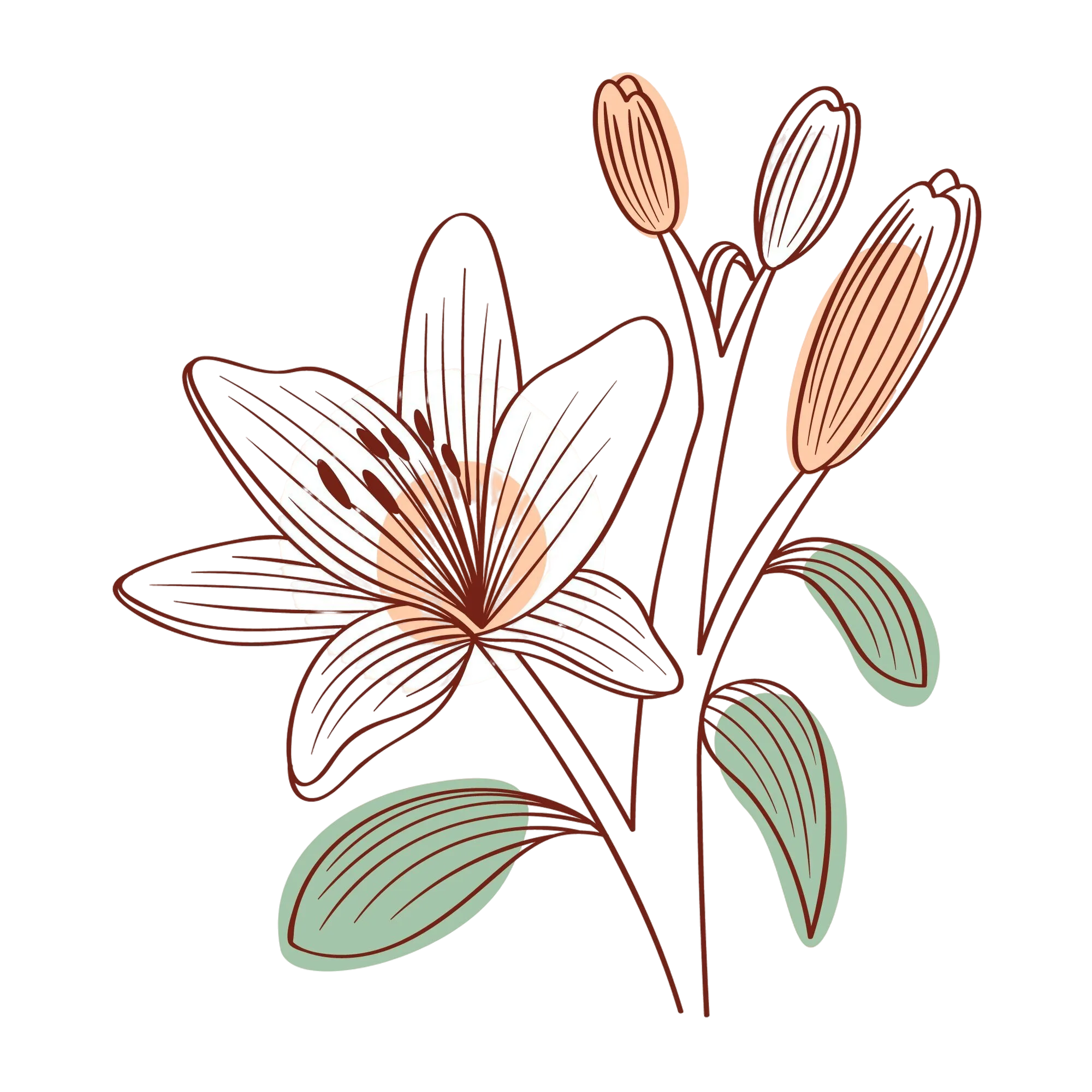 Natural Glow - Naturheilpraxis für ästhetische Medizin - Blume